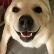 �󹷽���Ϸ������ư������ֻ���v1.1 �ֻ���