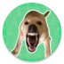 �󹷽�������2026���°汾v1.04 ��׿��