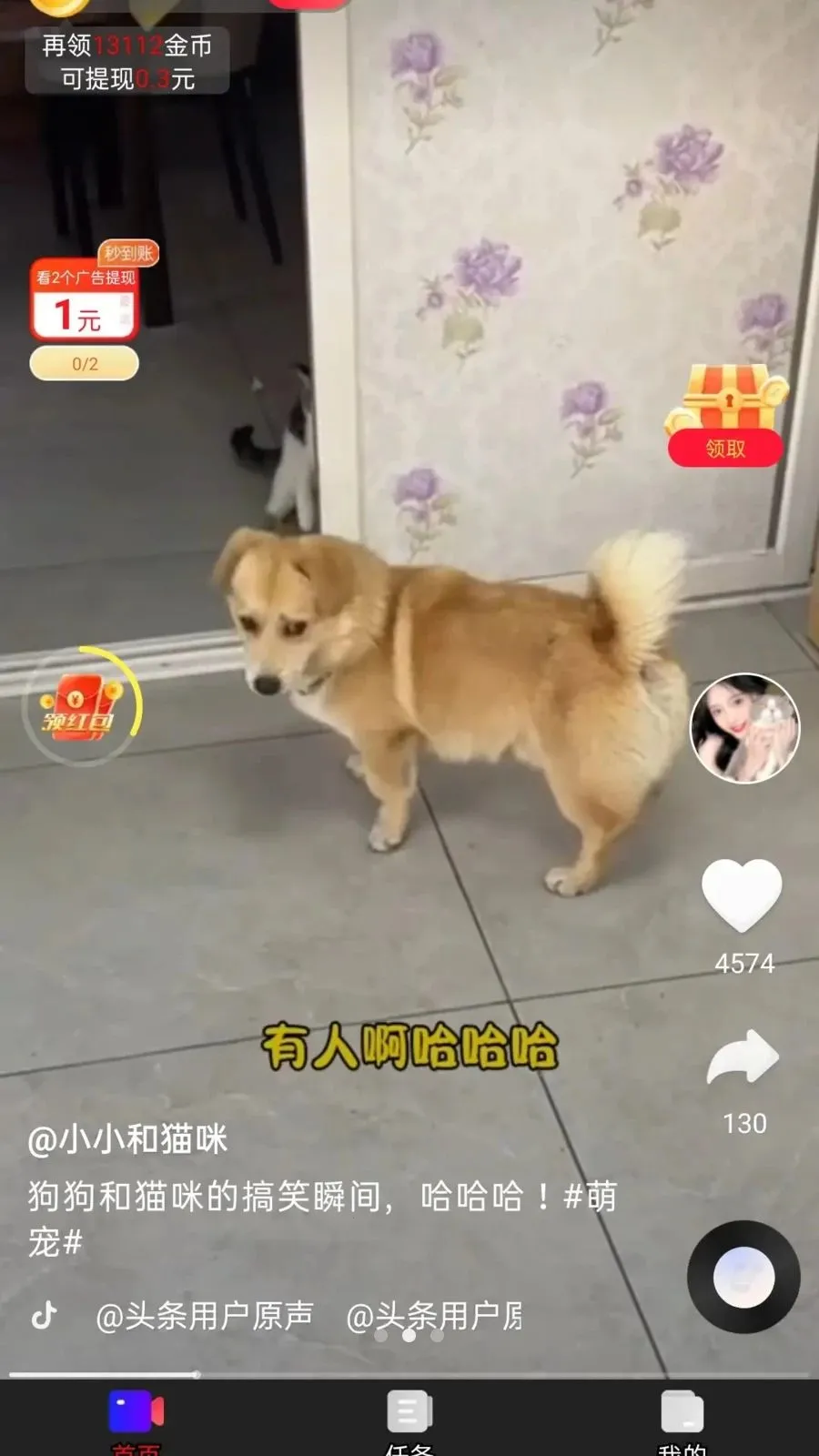 ��ӯ����2026���°汾v1.0.1 �ֻ����ͼ