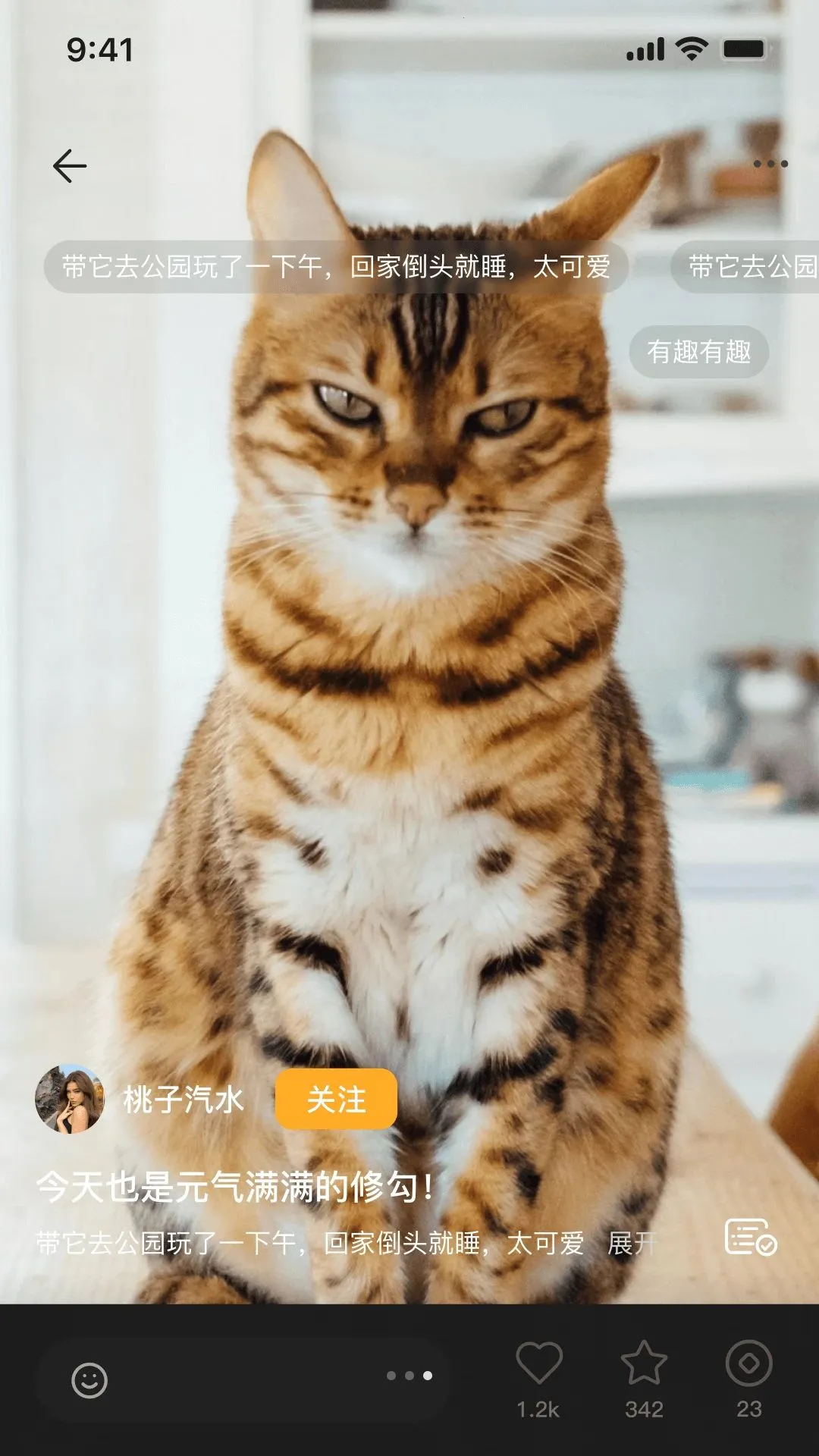�޻�APPv1.0.6 �ٷ������ͼ