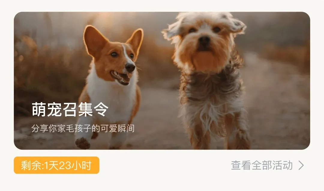 �޻�APPv1.0.6 �ٷ������ͼ