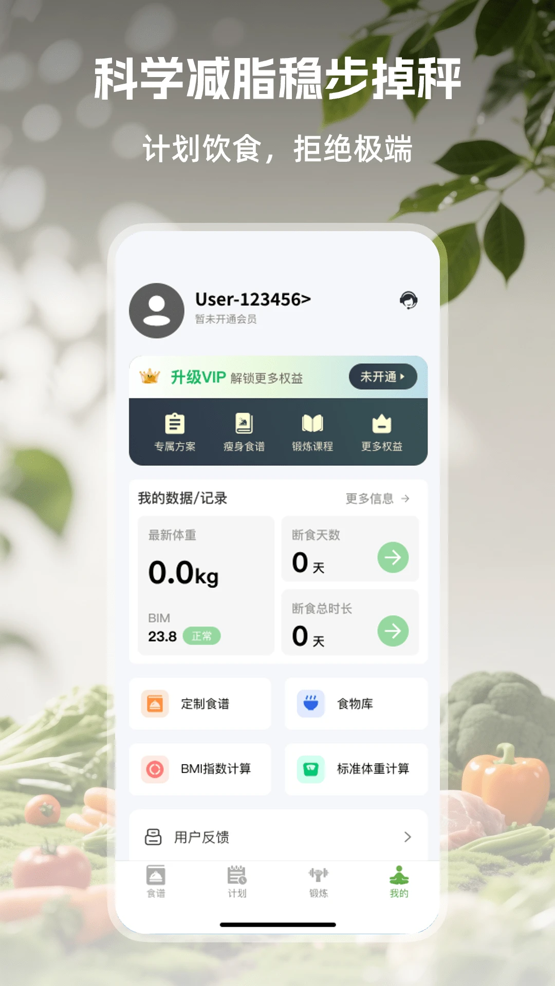 ��Ҷ���ʳv1.0.2 �ٷ������ͼ