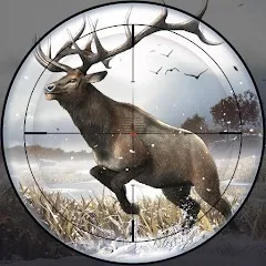 ��¹ 2�����Լ���v1.1.9 �ֻ���