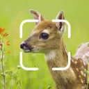 TrailCam Go����v2.10.4 �ٷ�����