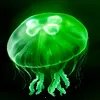 eggjelly�̾簲׿���ֻ���v2.5 �ٷ�����