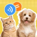 è�����ｻ������