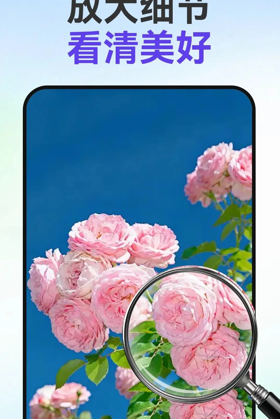 С�ַŴ�v1.0.1 ��Ѱ��ͼ