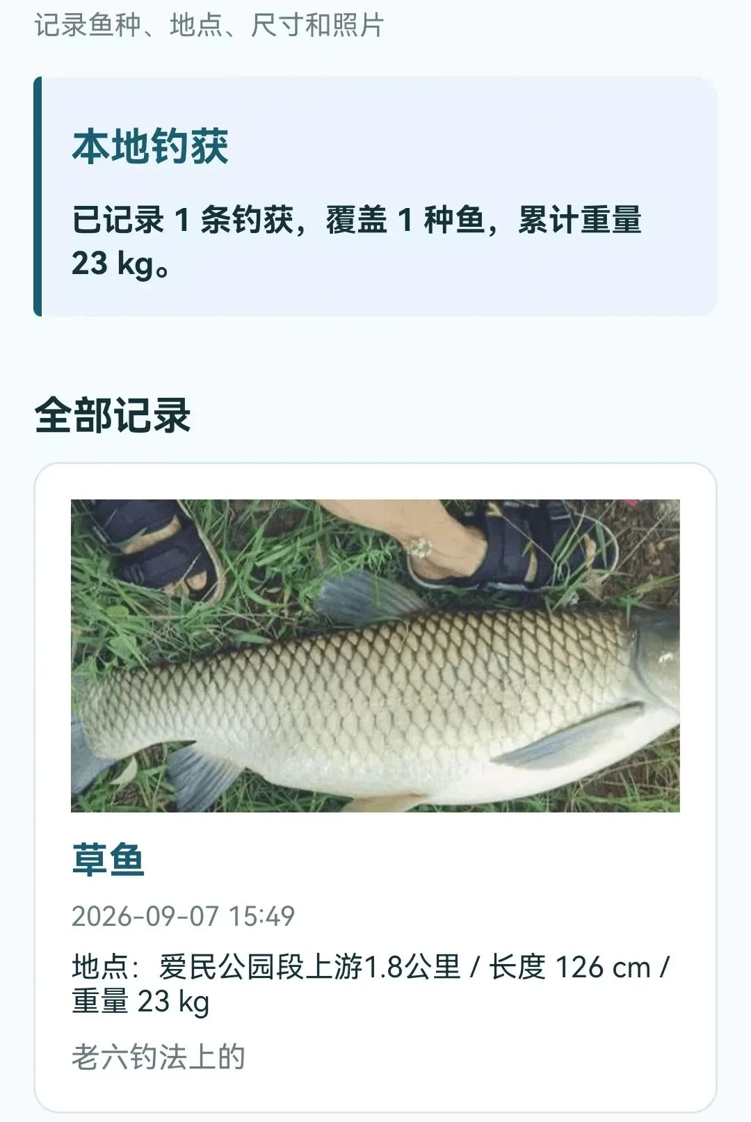 ���������鱨ָ��v1.0.0.4 ��׿���ͼ