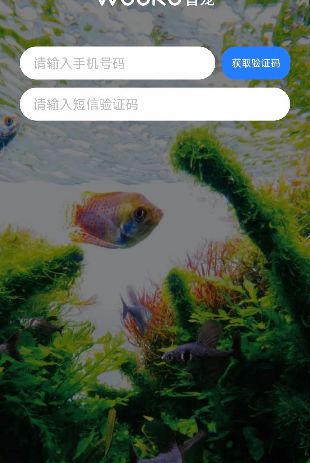 WOOKU�ǳ�v1.0.29 �ֻ����ͼ