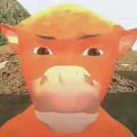 ţ��������ư�2026�ٷ����°汾